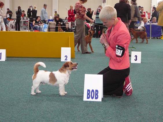 BOB_CAJC_Spring duo Danube 2.JPG